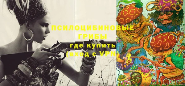 бошки Абинск