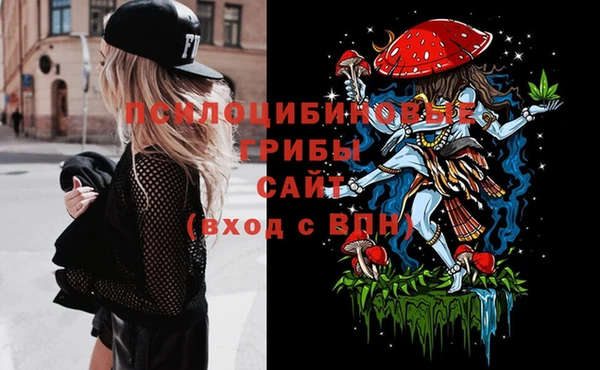 бошки Абинск
